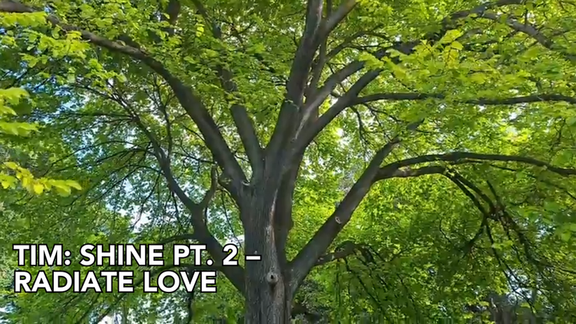 Tim: Shine Pt. 2 – Radiate Love